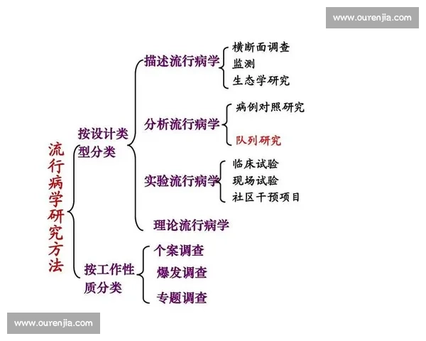 围绕队列比赛探索组织协调与团队协作全流程实践研究策略优化路径分析